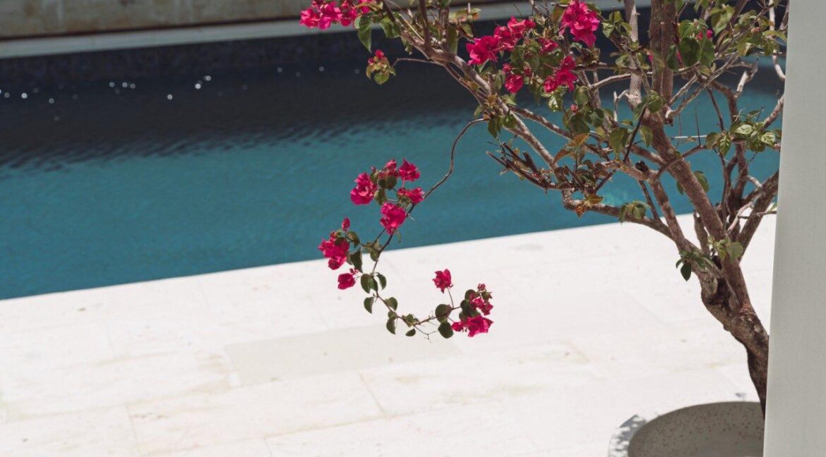 WhatsApp Image 2025-07-03 at 15.27.28