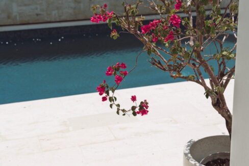 WhatsApp Image 2025-07-03 at 15.27.28