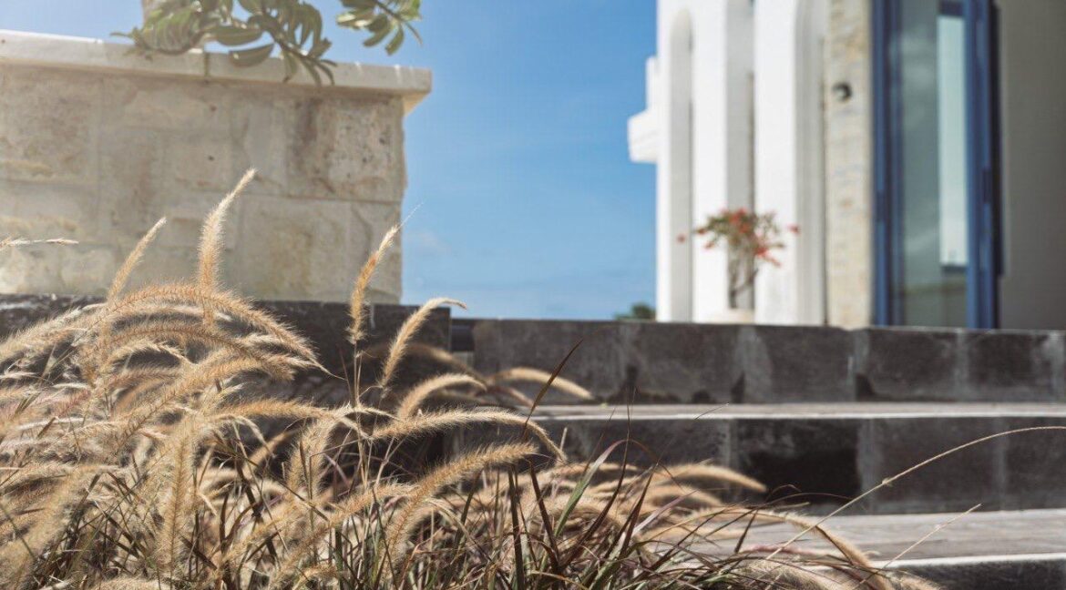 WhatsApp Image 2025-07-03 at 15.27.37