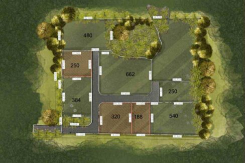 WhatsApp Image 2025-07-30 at 16.49.26