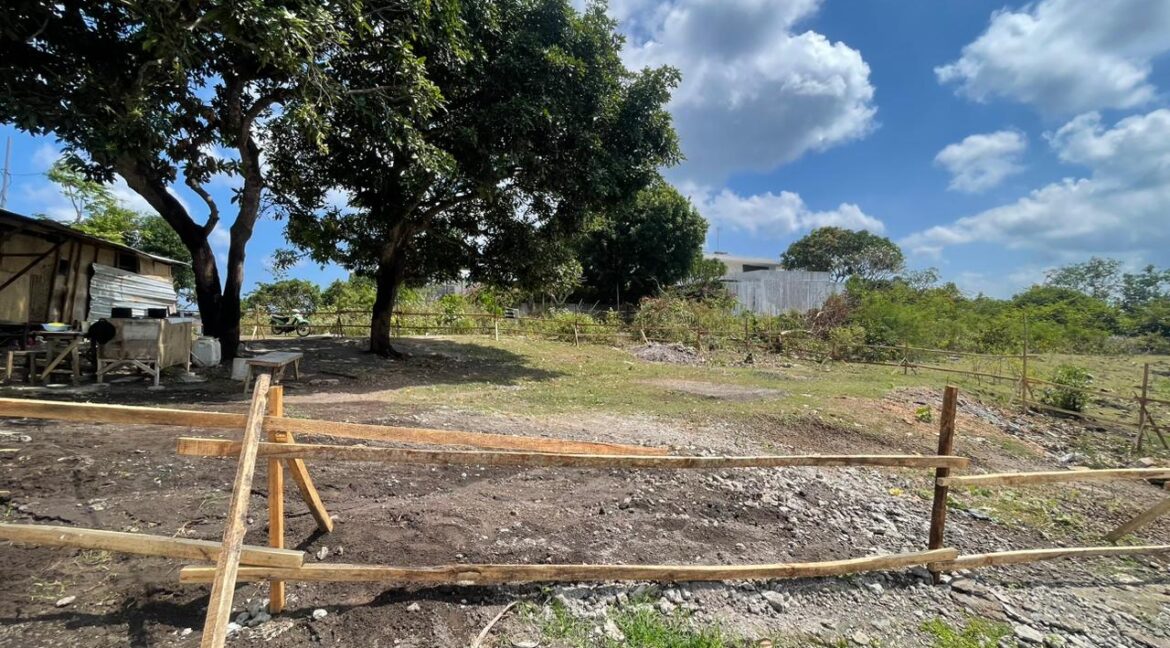 WhatsApp Image 2025-08-03 at 11.43.18 (1)