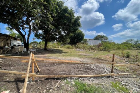 WhatsApp Image 2025-08-03 at 11.43.18 (1)