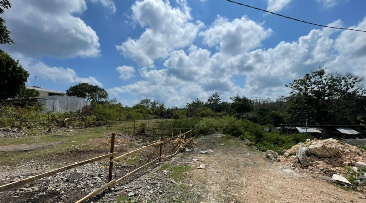 WhatsApp Image 2025-08-03 at 11.43.18