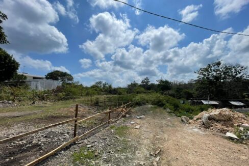 WhatsApp Image 2025-08-03 at 11.43.18