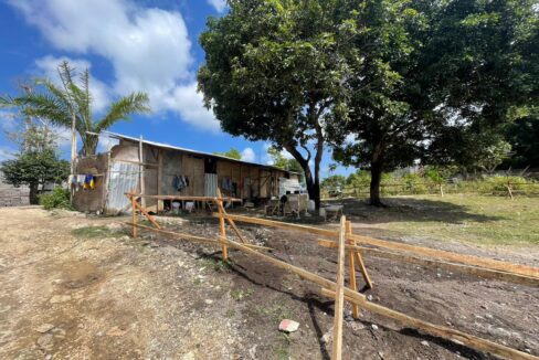 WhatsApp Image 2025-08-03 at 11.43.19