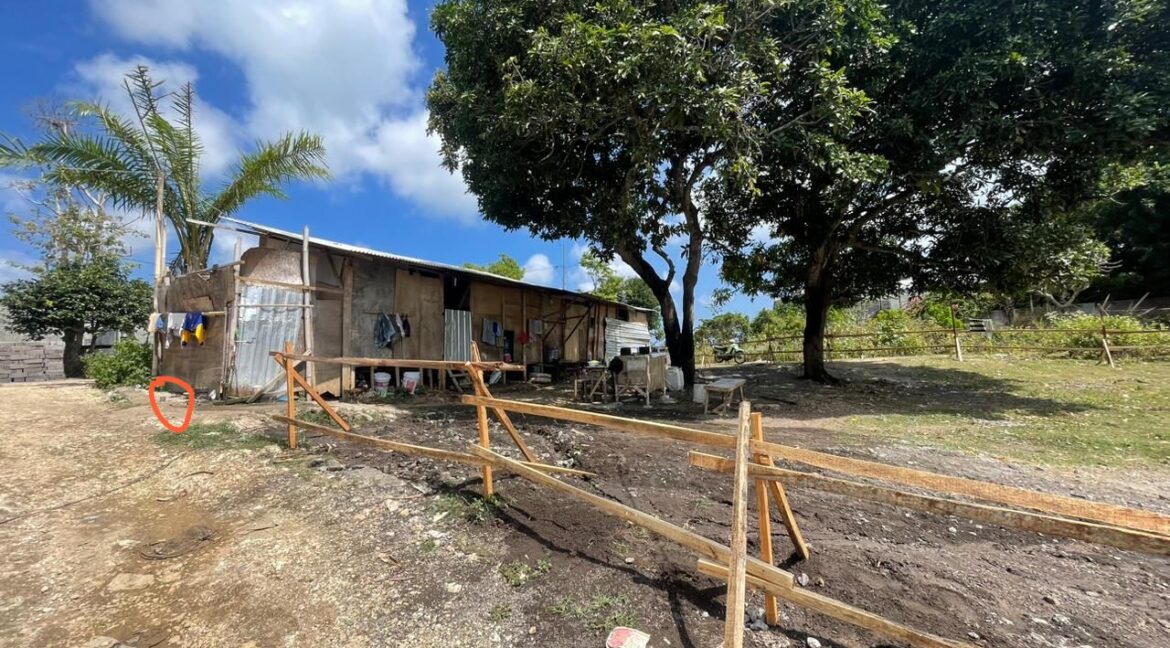 WhatsApp Image 2025-08-03 at 11.45.34