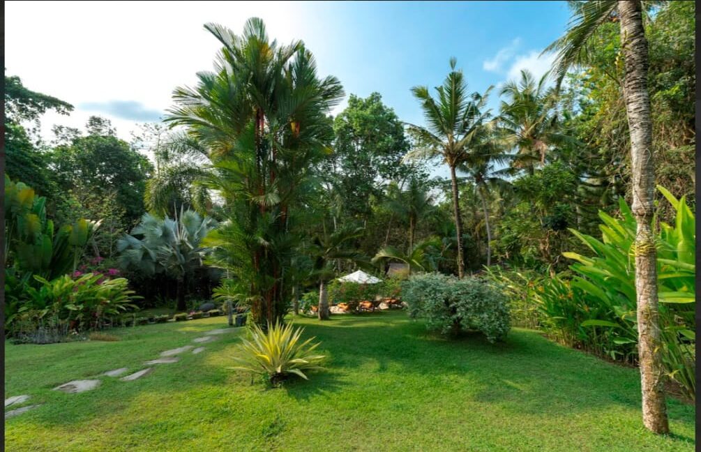 WhatsApp Image 2025-08-16 at 11.30.28