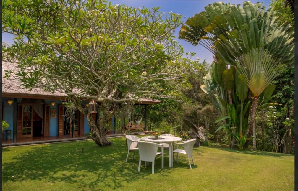 WhatsApp Image 2025-08-16 at 11.30.30