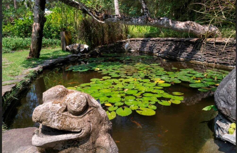 WhatsApp Image 2025-08-16 at 11.30.31