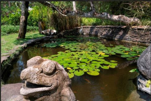 WhatsApp Image 2025-08-16 at 11.30.31