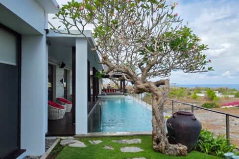 WhatsApp Image 2025-09-07 at 21.02.43 (1)