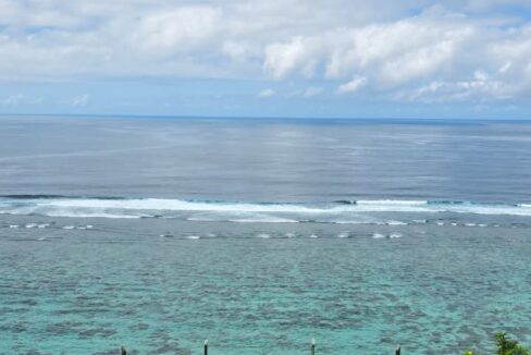 WhatsApp Image 2025-09-12 at 14.43.43