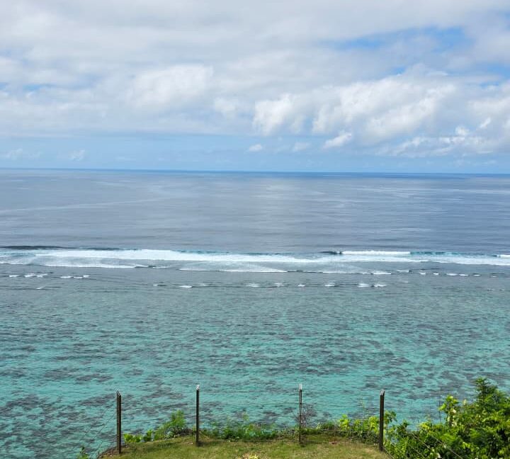 WhatsApp Image 2025-09-12 at 14.43.43