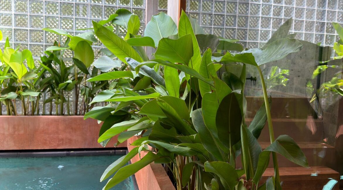 WhatsApp Image 2025-11-28 at 13.15.08