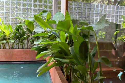 WhatsApp Image 2025-11-28 at 13.15.08