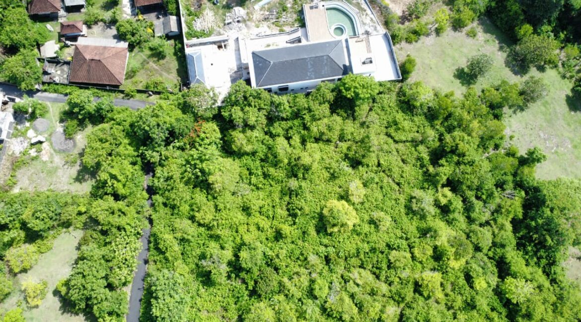 WhatsApp Image 2025-12-04 at 12.55.31 (2)