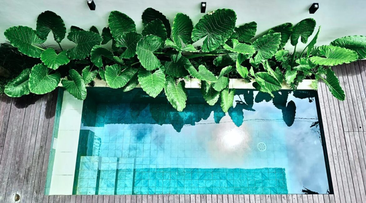 WhatsApp Image 2025-12-09 at 15.12.11