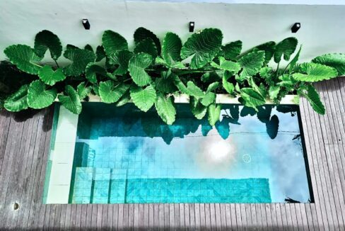 WhatsApp Image 2025-12-09 at 15.12.11