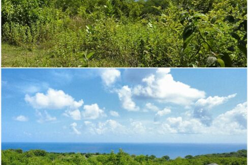 WhatsApp Image 2025-12-11 at 11.14.36 (1)