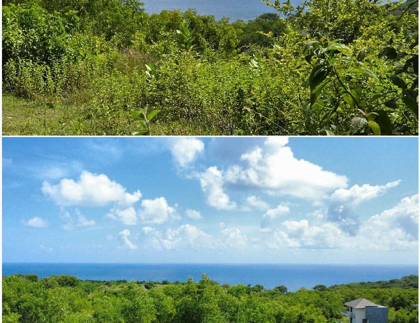 WhatsApp Image 2025-12-11 at 11.14.36 (1)