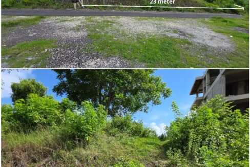 WhatsApp Image 2025-12-11 at 11.14.37