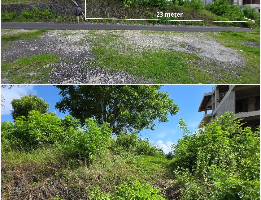 WhatsApp Image 2025-12-11 at 11.14.37