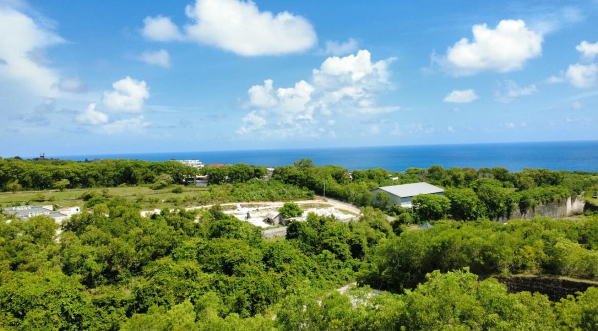 WhatsApp Image 2025-12-11 at 11.14.38 (1)