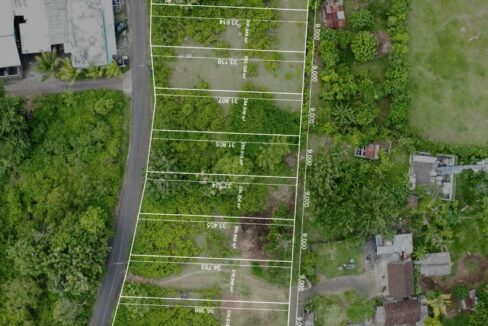 WhatsApp Image 2025-12-24 at 14.18.18 (1)