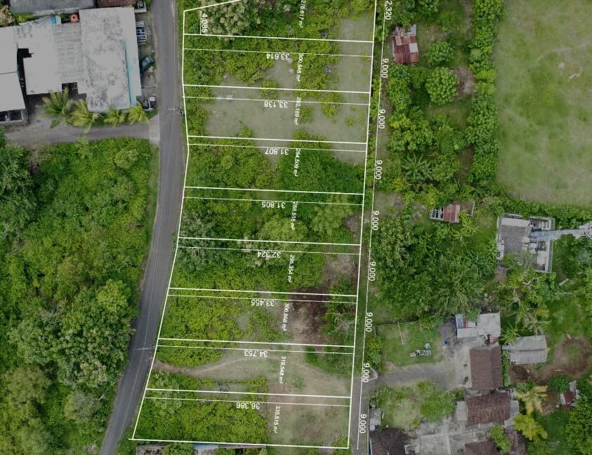 WhatsApp Image 2025-12-24 at 14.18.18 (1)