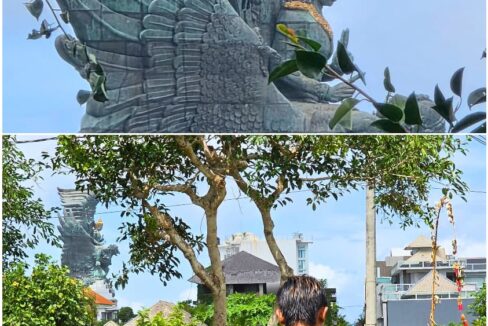 WhatsApp Image 2025-12-24 at 14.18.20 (1)