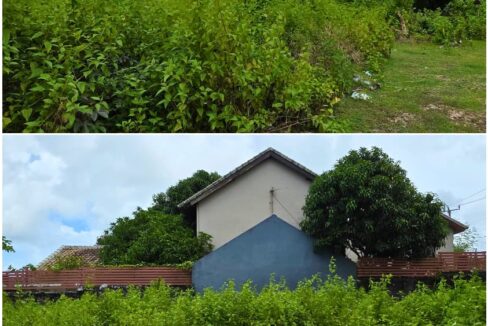 WhatsApp Image 2025-12-24 at 14.18.20