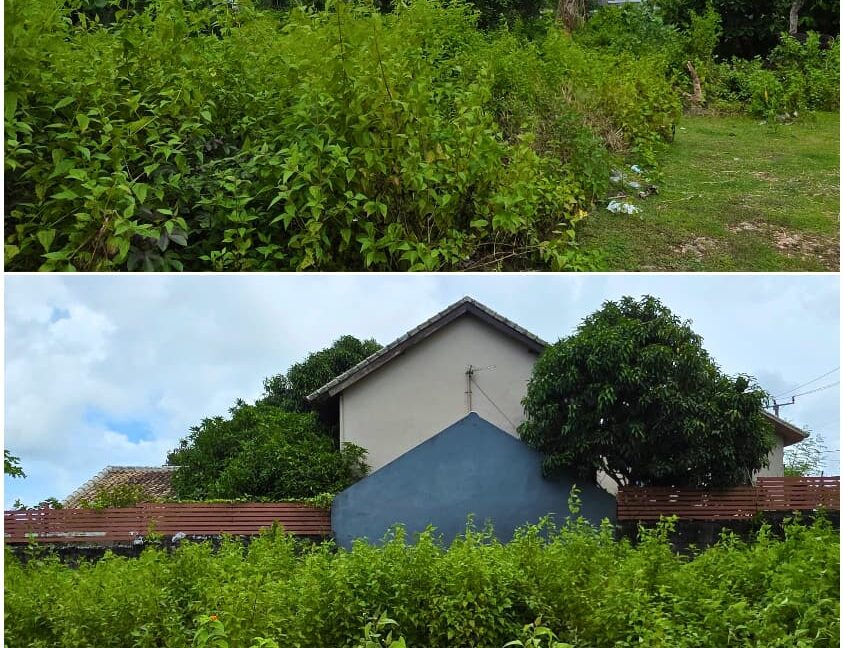 WhatsApp Image 2025-12-24 at 14.18.20