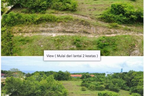 WhatsApp Image 2026-01-19 at 15.58.22