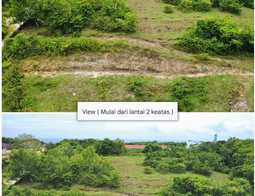 WhatsApp Image 2026-01-19 at 15.58.22