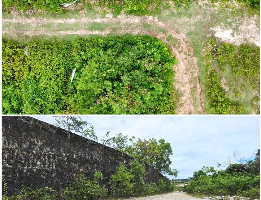 WhatsApp Image 2026-01-19 at 15.58.23 (1)