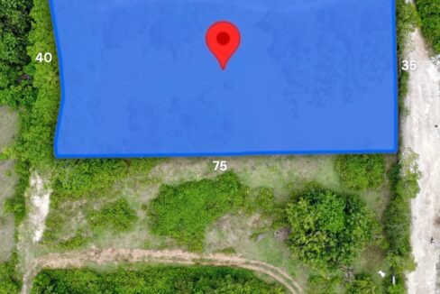 WhatsApp Image 2026-01-19 at 15.58.23