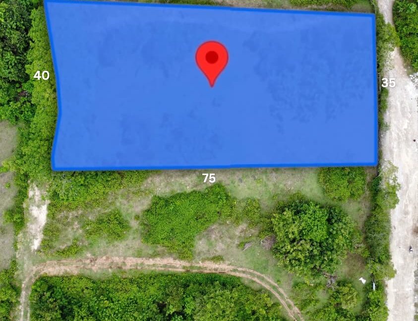 WhatsApp Image 2026-01-19 at 15.58.23