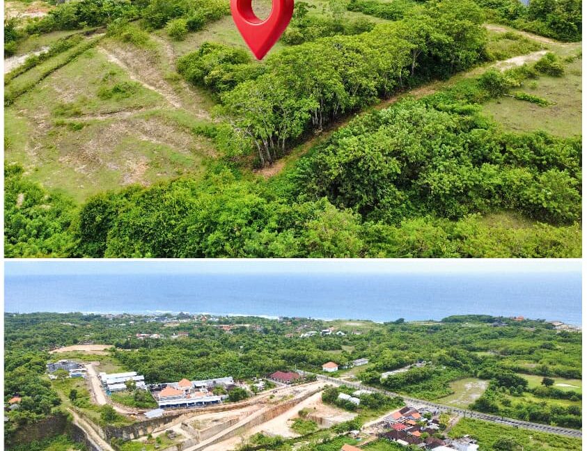 WhatsApp Image 2026-01-19 at 15.58.24 (2)