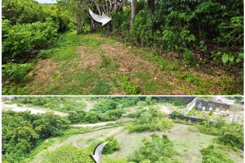 WhatsApp Image 2026-01-19 at 15.58.24 (3)