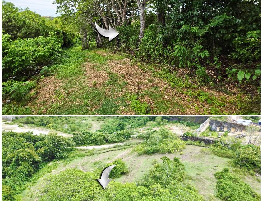 WhatsApp Image 2026-01-19 at 15.58.24 (3)