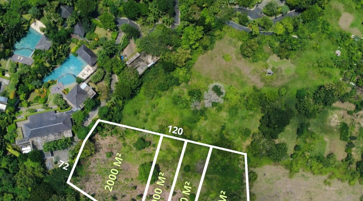 WhatsApp Image 2026-01-31 at 08.39.46 (2)