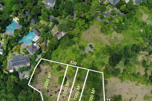 WhatsApp Image 2026-01-31 at 08.39.46 (2)