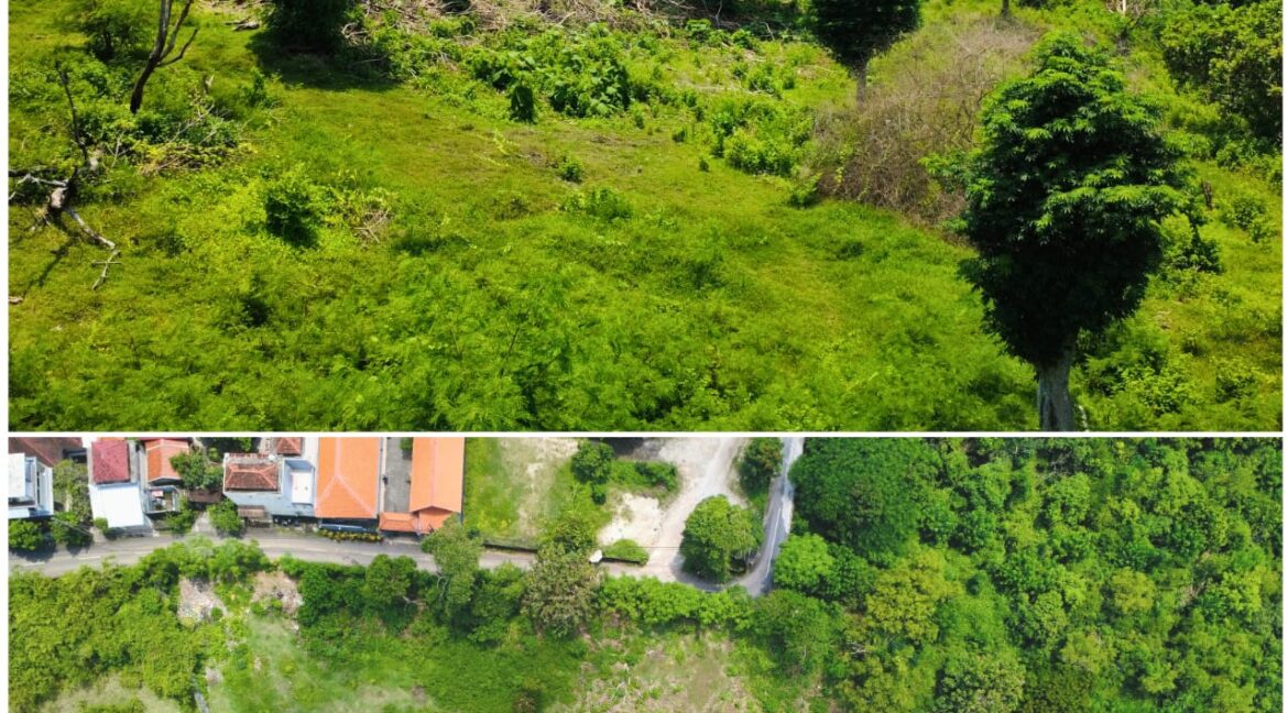 WhatsApp Image 2026-01-31 at 08.39.47