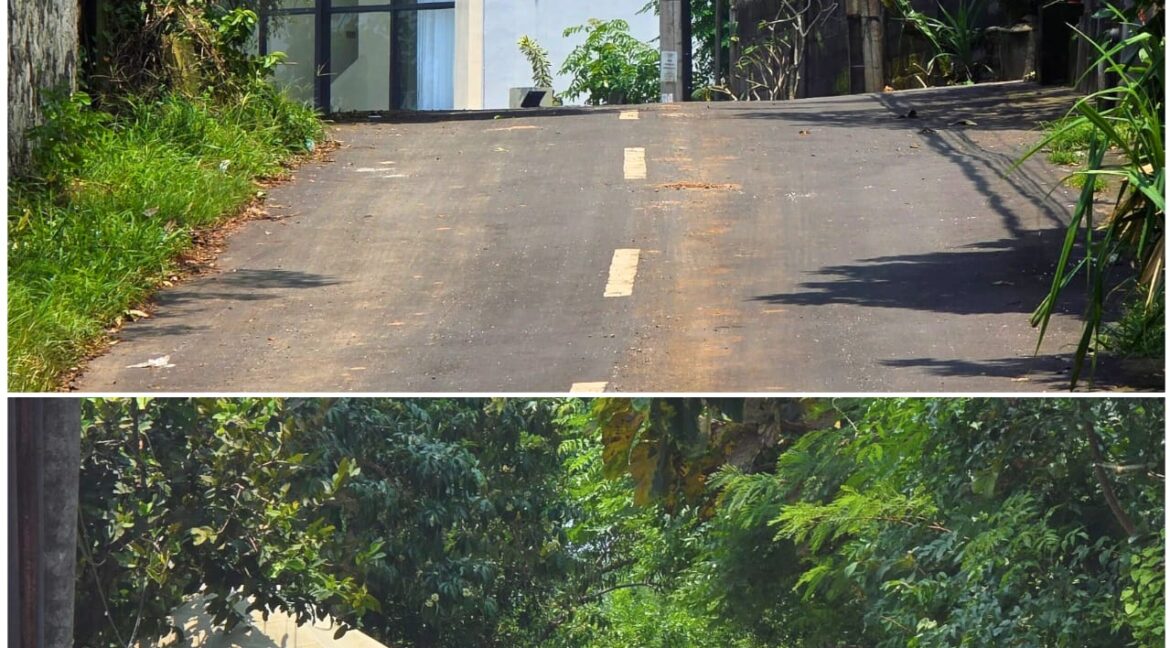 WhatsApp Image 2026-01-31 at 08.39.48