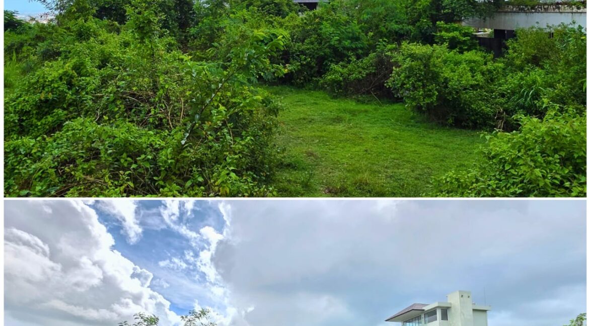 WhatsApp Image 2026-02-05 at 13.38.38