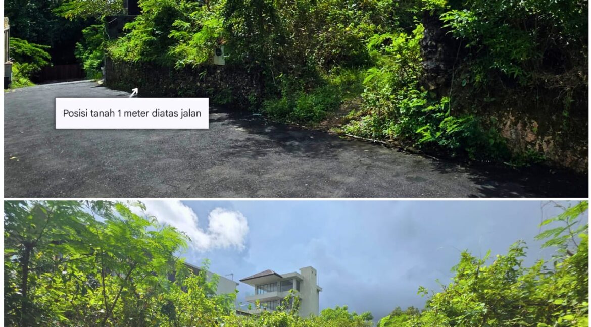 WhatsApp Image 2026-02-05 at 13.38.38 (2)