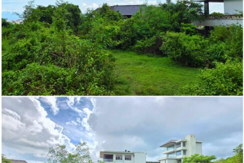 WhatsApp Image 2026-02-05 at 13.38.38