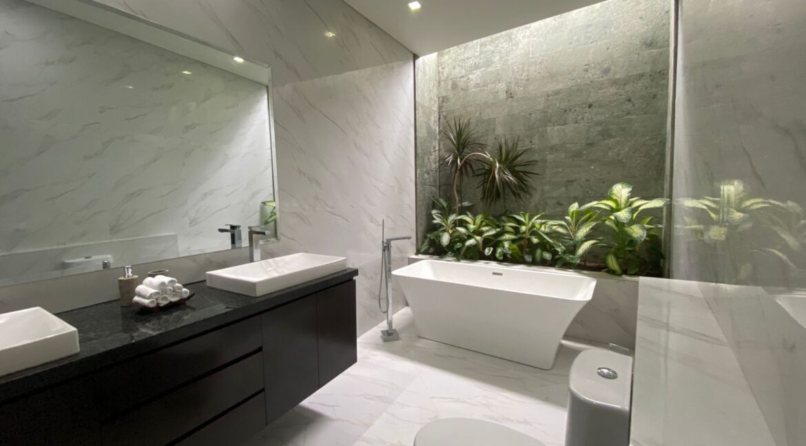 WhatsApp Image 2026-02-26 at 12.16.28