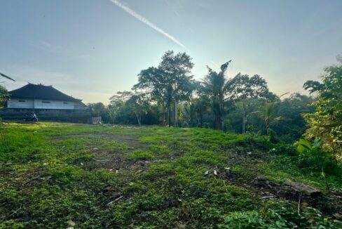 WhatsApp Image 2026-10-09 at 13.00.28 (1)